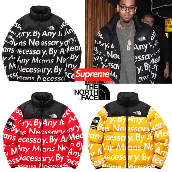 シュプリーム ノースフェイス 偽物 Supreme The North Face By Any Means Nuptse Jacket201116CC01992