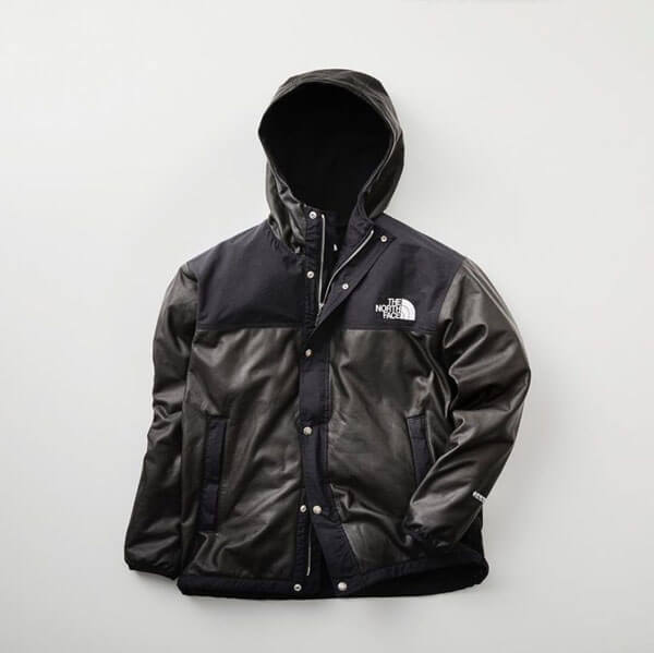 THE NORTH FACE コピー GTX Pamir Jacket パミールジャケット NP11861R