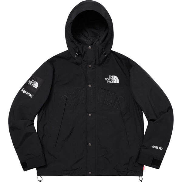 Supreme × The North 偽物 Face Arc Logo Mountain Parka Black 21030918